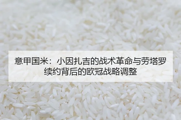 意甲国米：小因扎吉的战术革命与劳塔罗续约背后的欧冠战略调整