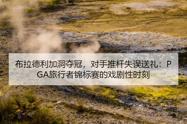 bu-la-de-li-jia-dong-duo-guan-dui-shou-tui-gan-shi-wu-song-li-lv-xing-zhe-jin-biao-sai-de-xi-ju-xing-shi-ke-2-215.jpg
