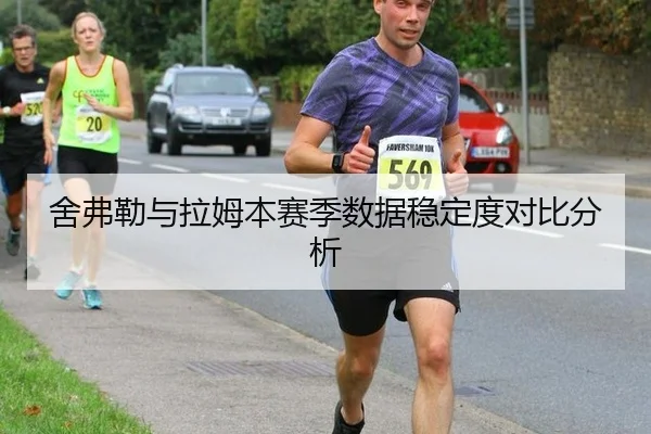 舍弗勒与拉姆本赛季数据稳定度对比分析