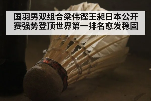 国羽男双组合梁伟铿王昶日本公开赛强势登顶世界第一排名愈发稳固