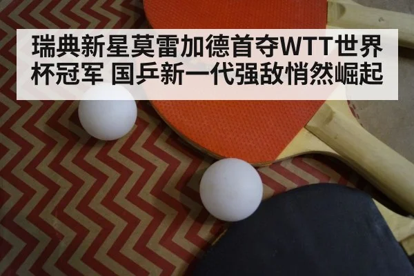 table tennis racket closeup