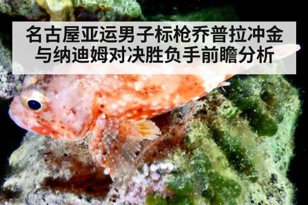 名古屋亚运男子标枪乔普拉冲金与纳迪姆对决胜负手前瞻分析